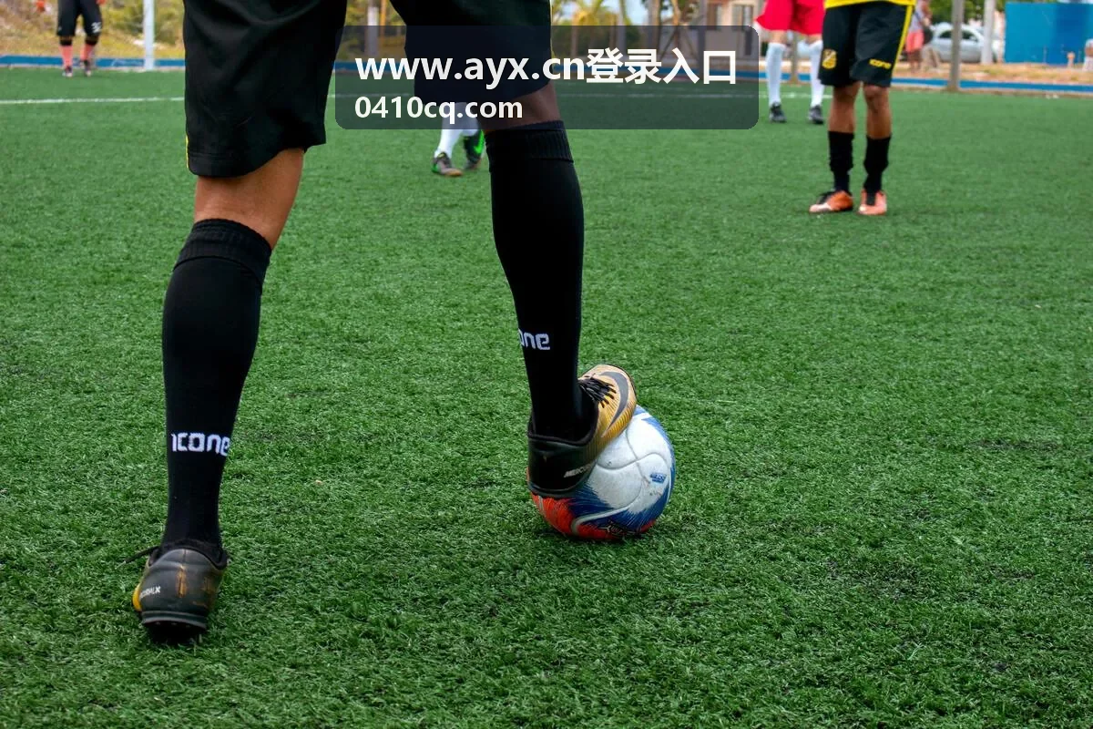 www.ayx.cn登录入口 安全验证方式与提示说明的示意图