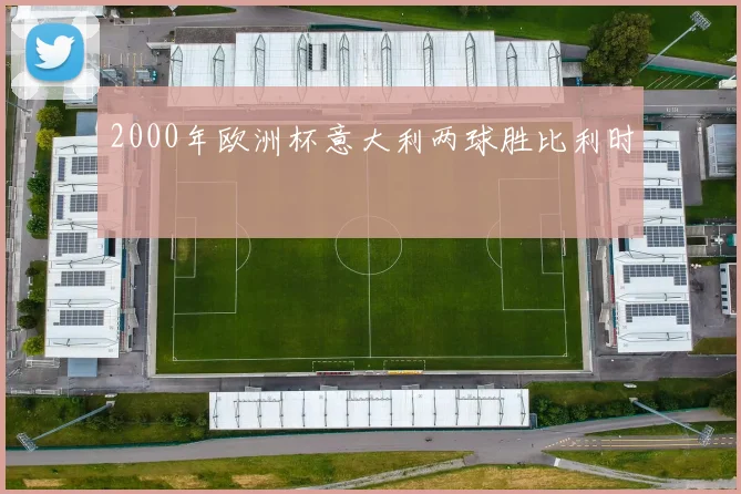 2000年欧洲杯意大利两球胜比利时