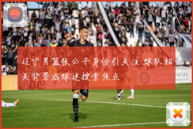 辽宁男篮张公子身份引关注 球队相关背景成球迷搜索焦点