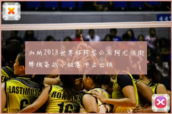 加纳2018世界杯阵容公布阿尤领衔锋线备战小组赛冲击出线